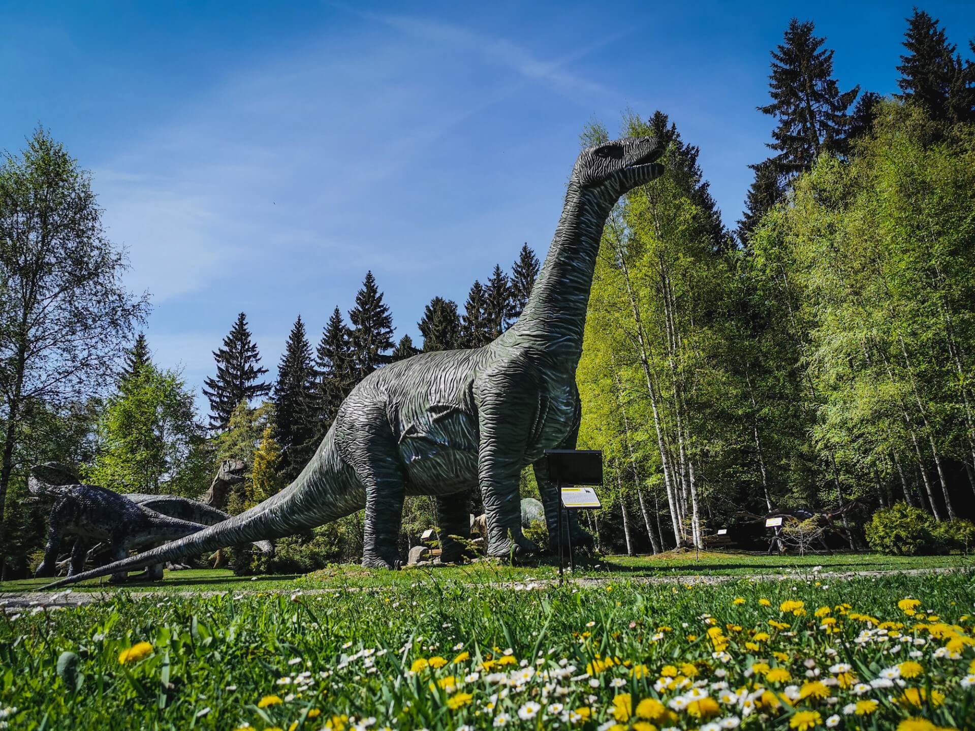 Park dinozaurów w Karłowie